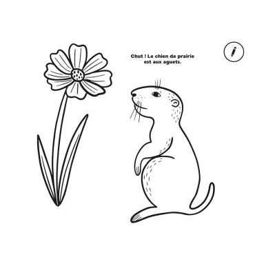 50 Coloriages relaxants nature
