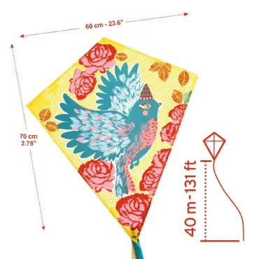 Cerf-volant - Bird