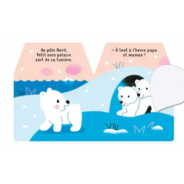 Cache-Cache petit ours polaire - Livre matière