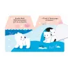 Cache-Cache petit ours polaire - Livre matière