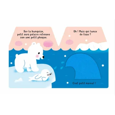 Cache-Cache petit ours polaire - Livre matière