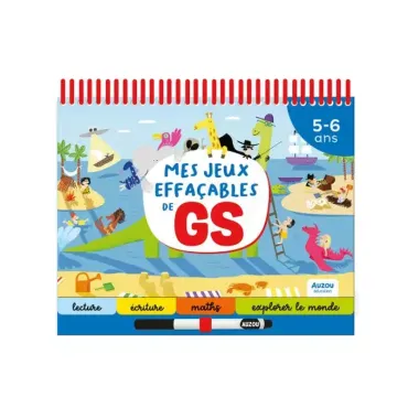 Mes jeux effaçables de GS