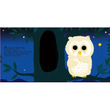 Au dodo ! Bébé hibou n'a pas sommeil du tout