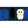 Au dodo ! Bébé hibou n'a pas sommeil du tout