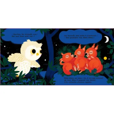 Au dodo ! Bébé hibou n'a pas sommeil du tout