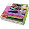 Lovely Box - 5 Techniques de scoubidou