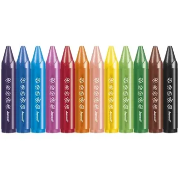 Crayons de cire x12
