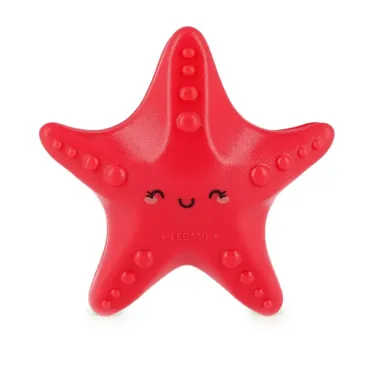 Set de 4 Piquets pour Serviette de Plage - Starfish