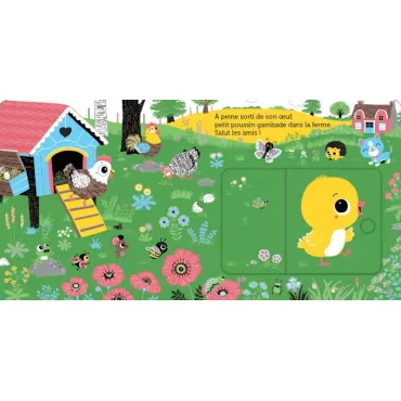 Promenade avec petit Poussin - Livre animé
