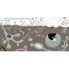 Promenade sous la terre - livre d'éveil animé