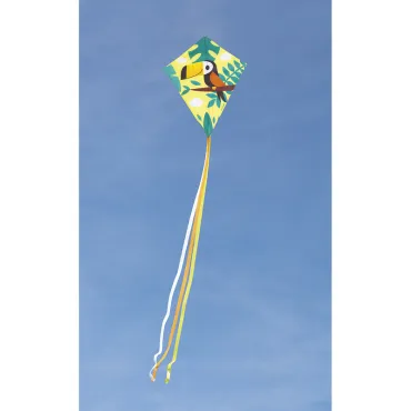 Cerf-volant Ours Applepop