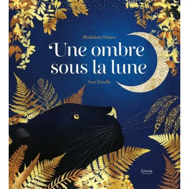 Une ombre sous la Lune