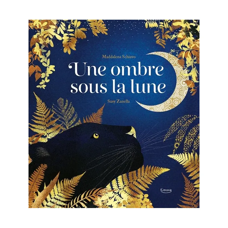 Une ombre sous la Lune
