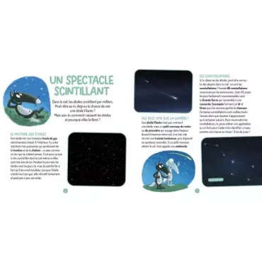 Les questions de loup - L'espace