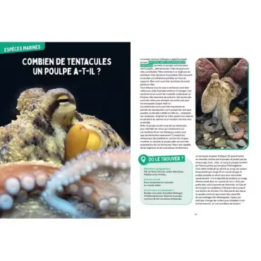 Les mystères de l'océan - Science & vie junior