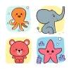 Step by step Babies & Co