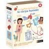 Corps Humain