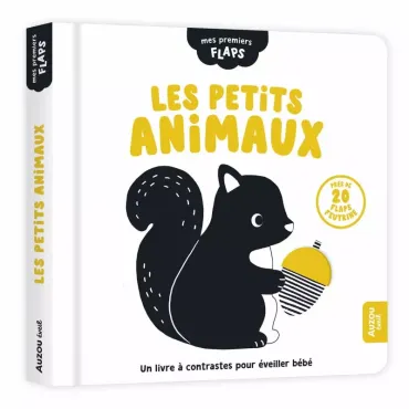 Mes premiers flaps - Les...