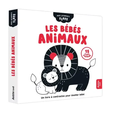 Mes premiers flaps - Les...