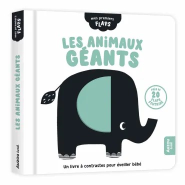 Mes premiers flaps - Les...