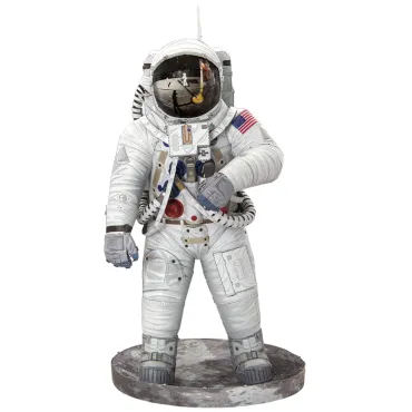 Apollo 11 Astronaute