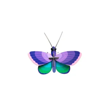 Wall Art - Blue Copper Butterfly
