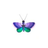 Wall Art - Blue Copper Butterfly
