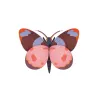 Wall Art - Bellissima Butterfly