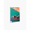 Creative Play and Decor - Ankyl Dino