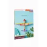 Wall Art - Piper Plane