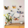 Wall Art - Cepora Butterfly