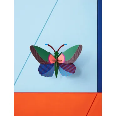Wall Art - Acacia Butterfly