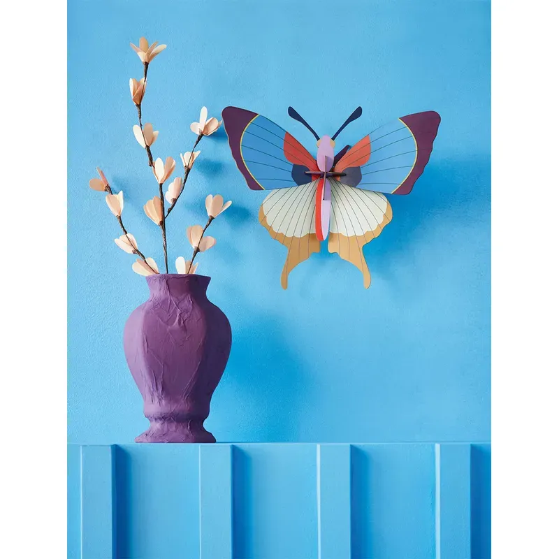 Big Insect - Plum Fringe Butterfly