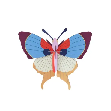 Big Insect - Plum Fringe Butterfly