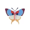 Big Insect - Plum Fringe Butterfly