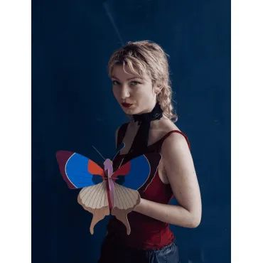 Big Insect - Plum Fringe Butterfly