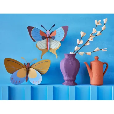 Big Insect - Plum Fringe Butterfly
