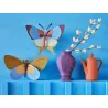 Big Insect - Plum Fringe Butterfly