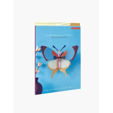 Big Insect - Plum Fringe Butterfly