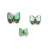 Big Insects - Fern Striped Butterflies - Set of 3