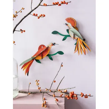 Paradise Bird - Obi