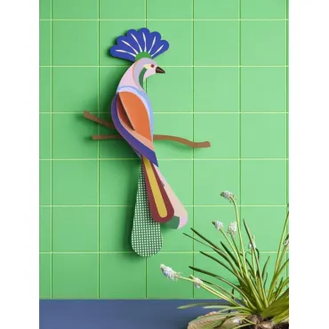 Paradise Bird - Tinjil
