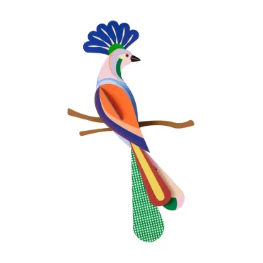 Paradise Bird - Tinjil