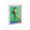 Paradise Bird - Tinjil