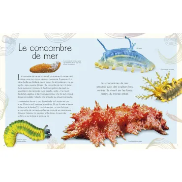 l'anthologie illustrée du monde aquatique