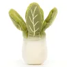 Vivacious Vegetable Bok Choy