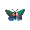 Wall Art - Acacia Butterfly