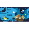 Au dodo - les amis du jardin - Livre animé