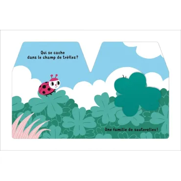 Cache cache petite coccinelle - Livre matière