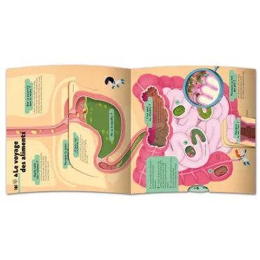 Le grand Kididoc du corps humain - Livre pop-up